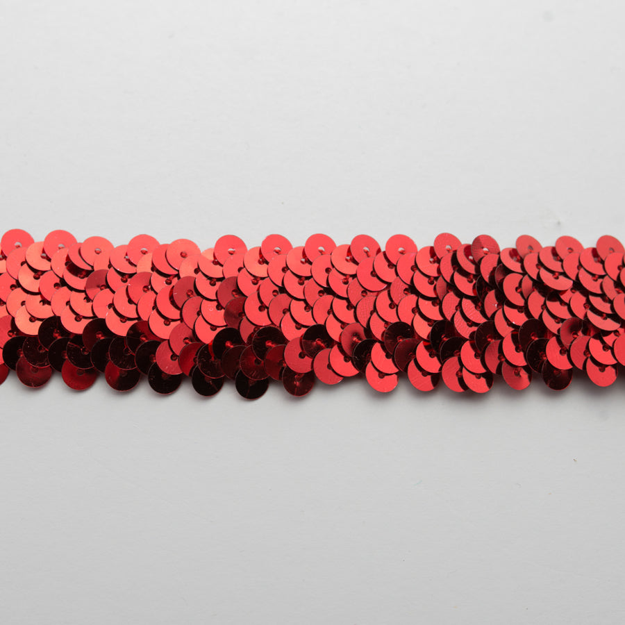 Stretch Sequin Trim 2-Row