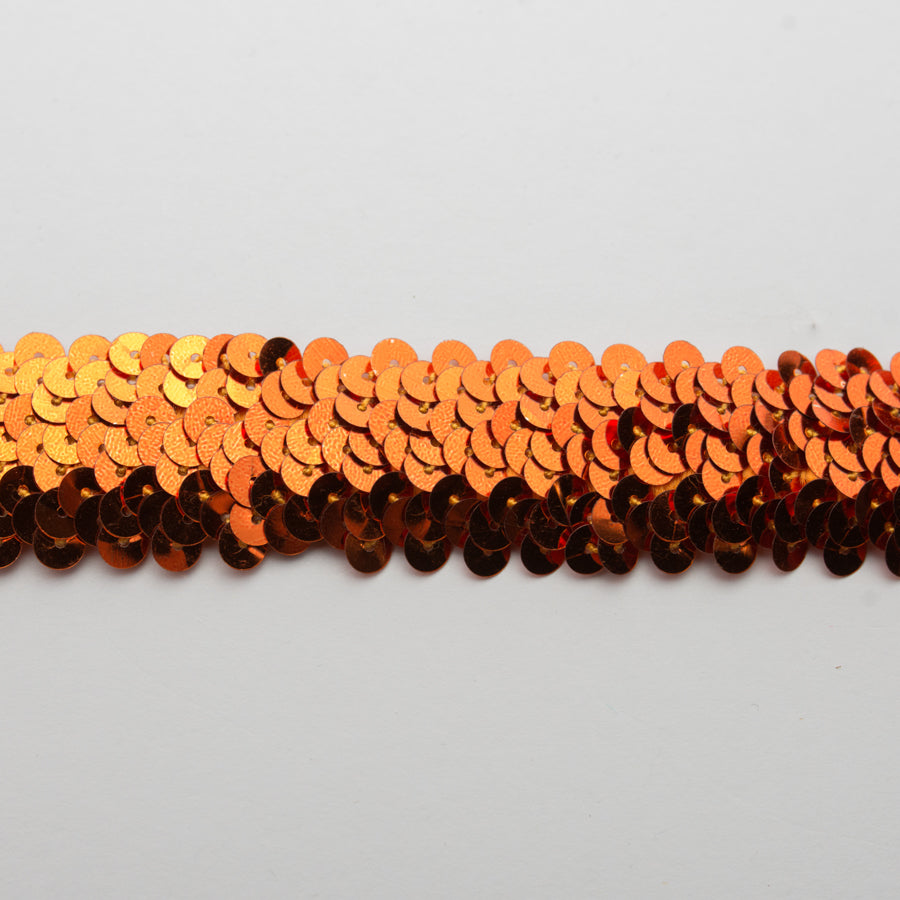 Stretch Sequin Trim 2-Row