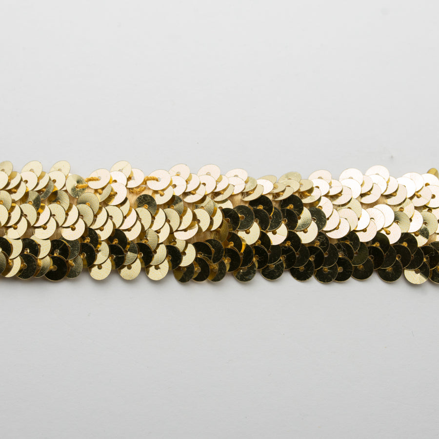 Stretch Sequin Trim 2-Row