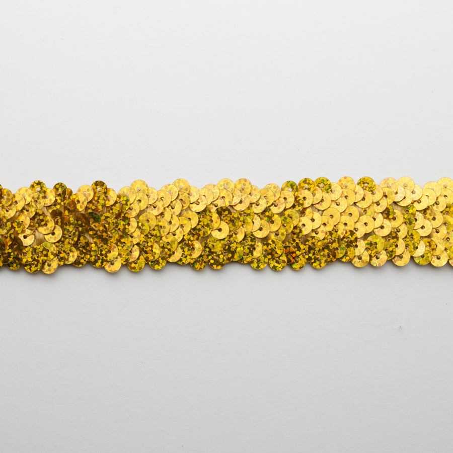 Stretch Sequin Trim 2-Row