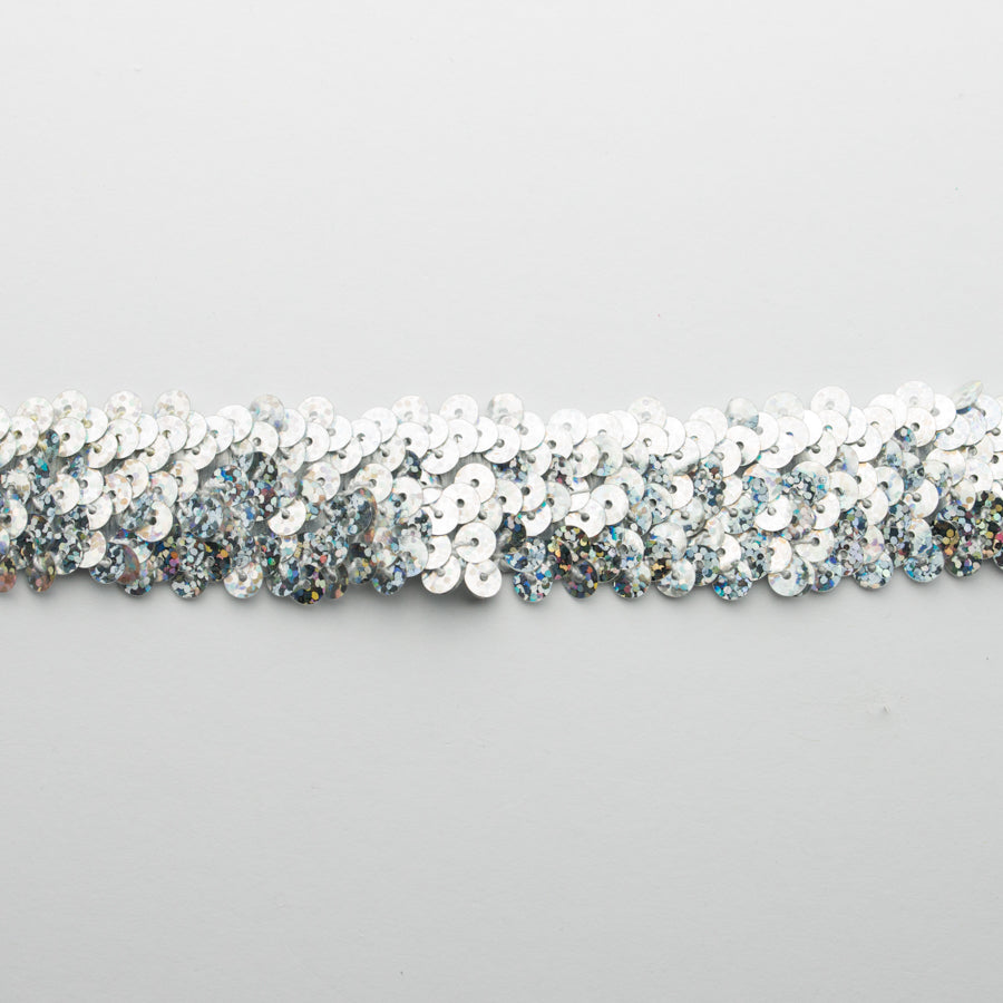 Stretch Sequin Trim 2-Row