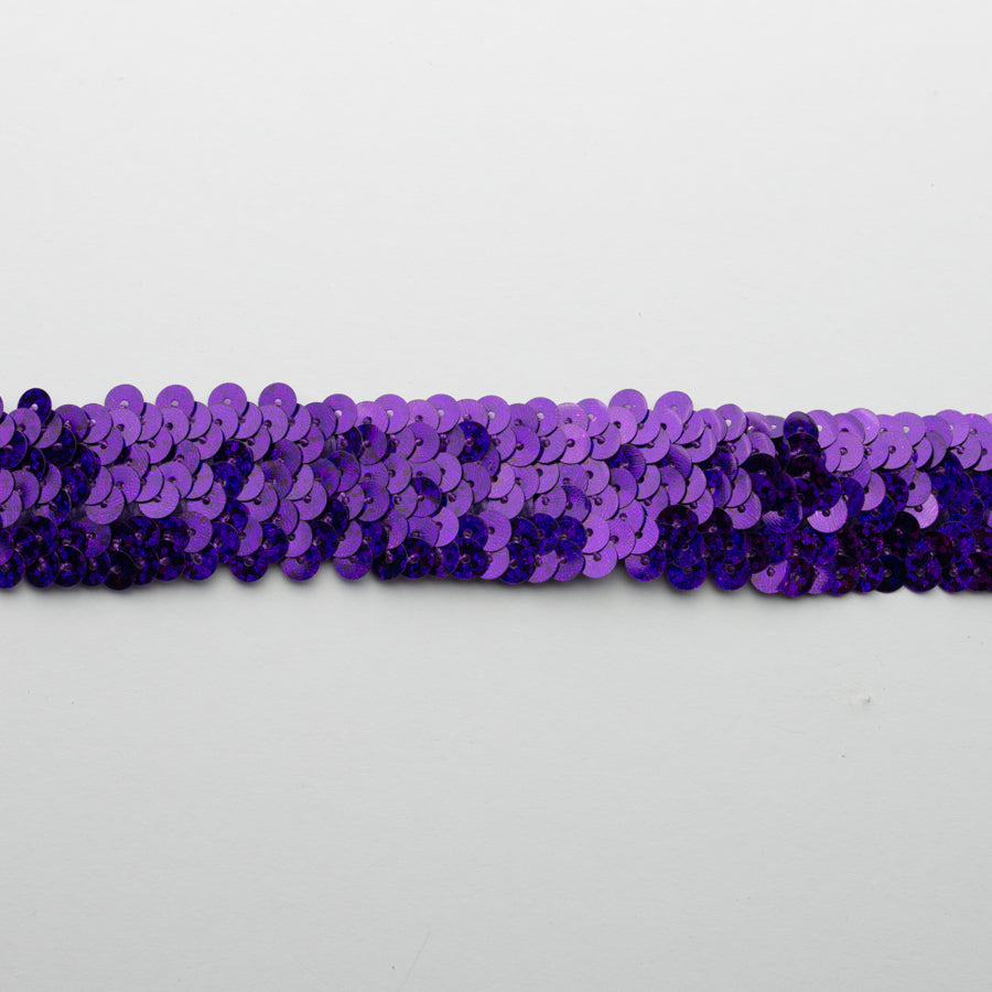 Stretch Sequin Trim 2-Row