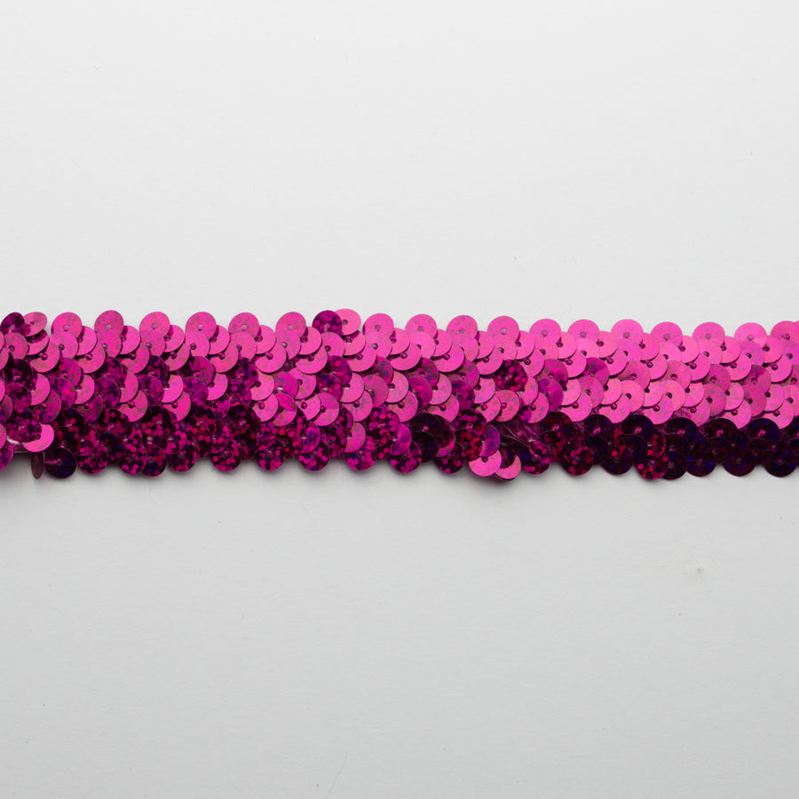 Stretch Sequin Trim 2-Row