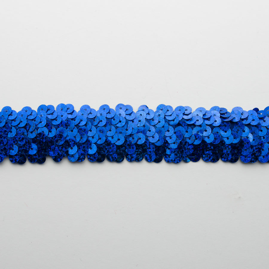 Stretch Sequin Trim 2-Row