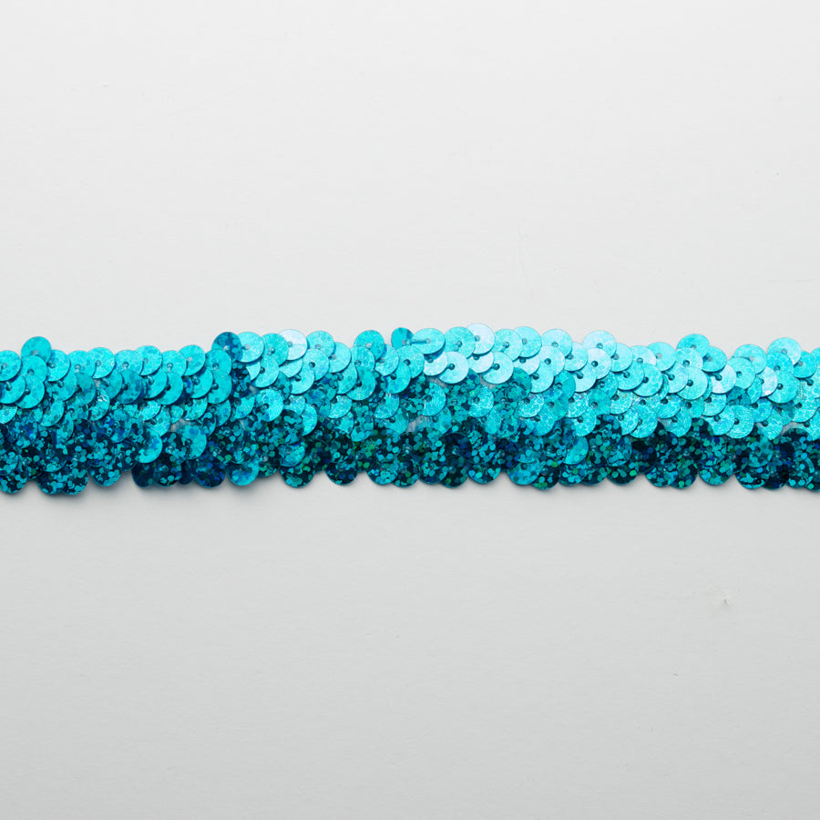 Stretch Sequin Trim 2-Row