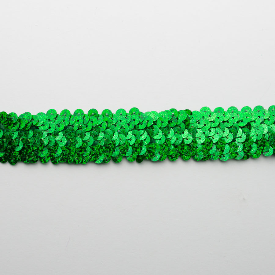 Stretch Sequin Trim 2-Row