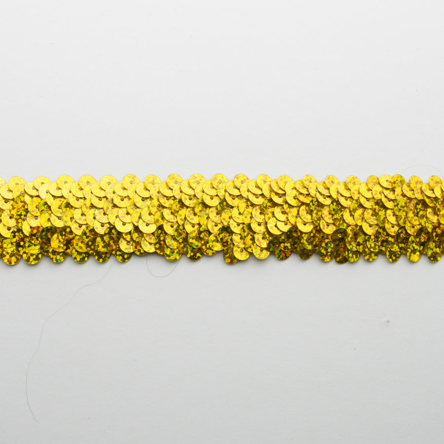 Stretch Sequin Trim 2-Row