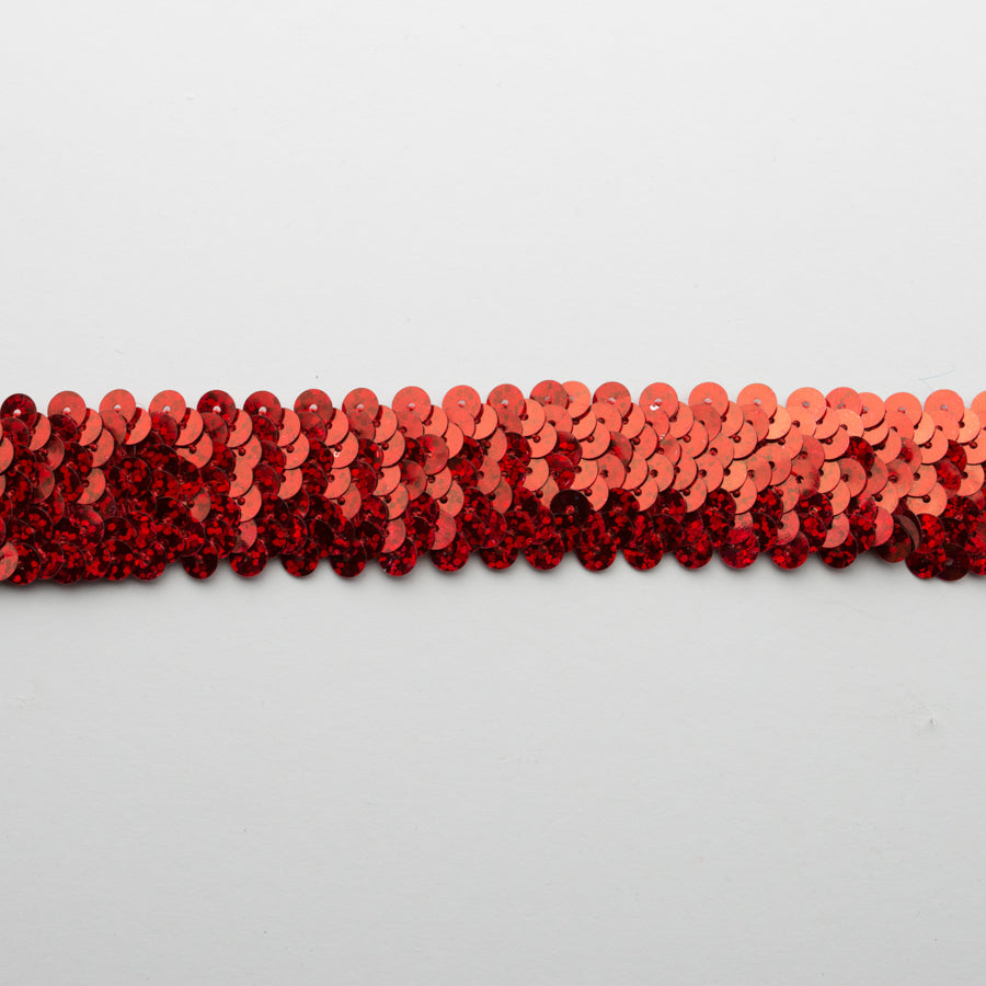 Stretch Sequin Trim 2-Row