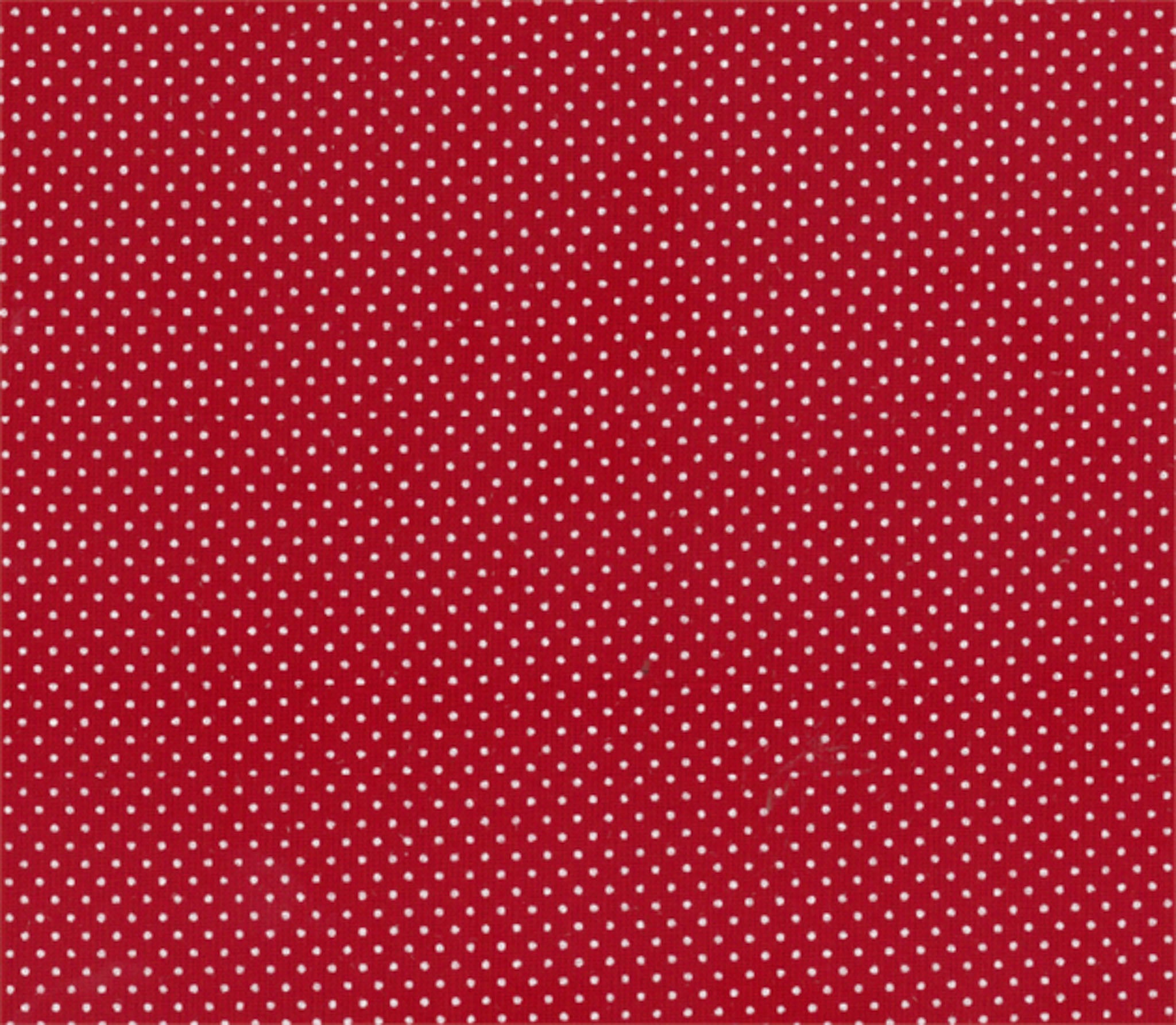 Micro Polka Dot Cotton Print