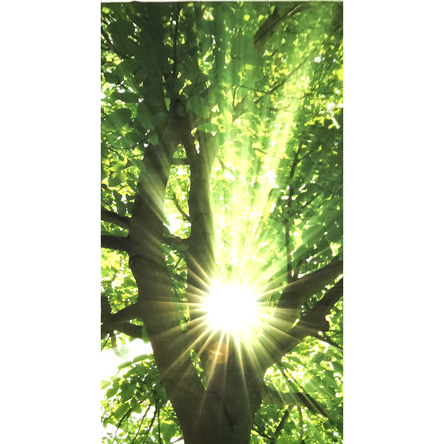 Sunkist Panel by Zepel Curtain Drapery Fabric