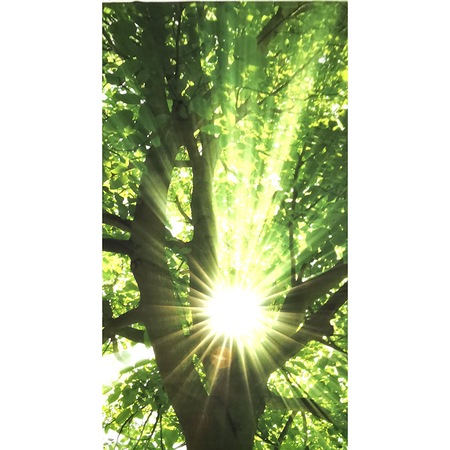 Forest Sunkist Cotton Canvas Digital Printed Panel 277cm x 141cm