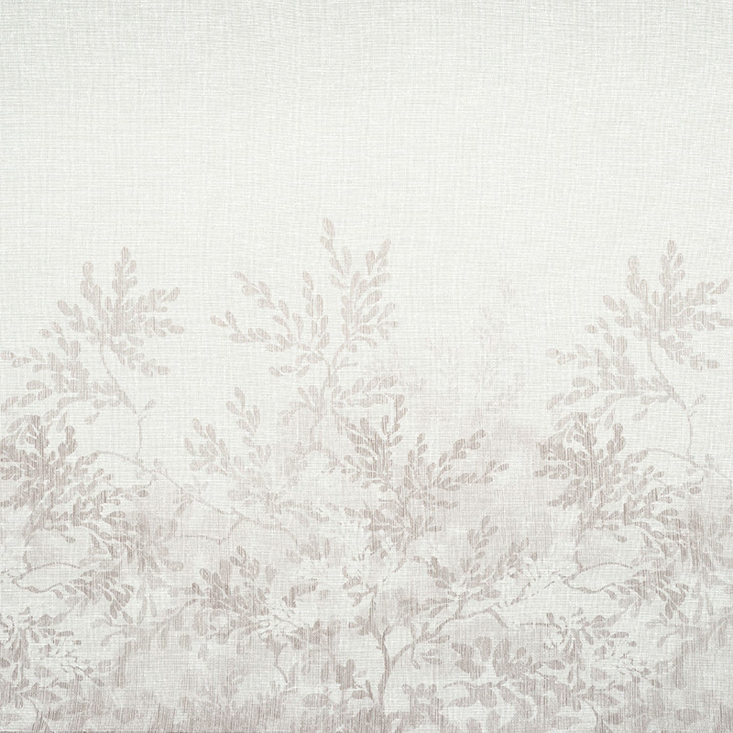 Arbour by Zepel 300cm Sheer Fabric